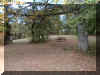 PA230014.JPG (63880 octets)