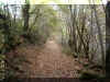 PA230030.JPG (59212 octets)